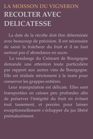 LA MOISSON DU VIGNERON RECOLTER AVEC DELICATESSE     La date de la récolte doit être déterminée avec beaucoup de précision. Il est nécessaire de saisir la fraîcheur du fruit et il ne faut surtout pas d`abondance en sucre.    La vendange du Crémant de Bourgogne demande une attention toute particulière par rapport aux autres vins de Bourgogne.  Elle est réalisée strictement à la main pour conserver les grappes entières.    Leur manipulation est délicate. Elles sont transportées en caisses peu profondes afin de préserver l'intégrité du fruit en évitant tout tassement, et percées pour laisser exceptionnellement s`échapper du jus libéré prématurément.