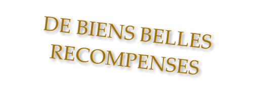 DE BIENS BELLES RECOMPENSES